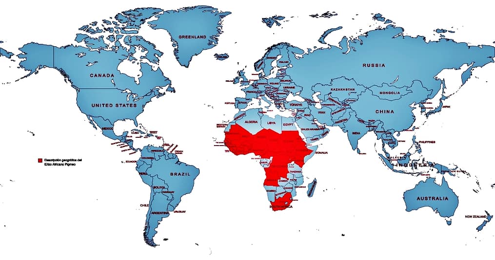 Descripción geográfica del Exótico Erizo Africano Pigmeo