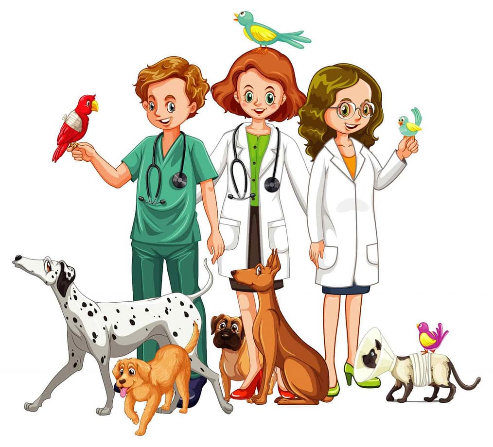 Es un dibujo del equipo formado por una clínica veterinaria